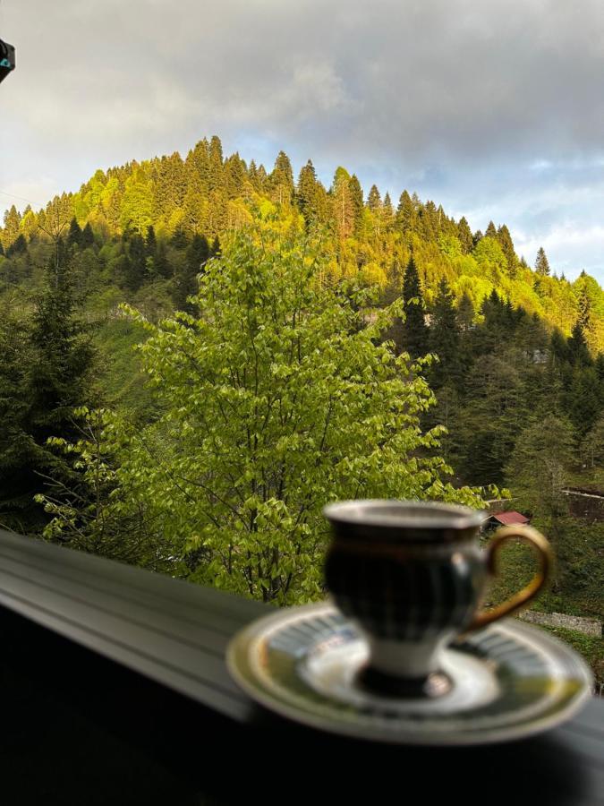 Ayder Dag Evi Villa Kültér fotó